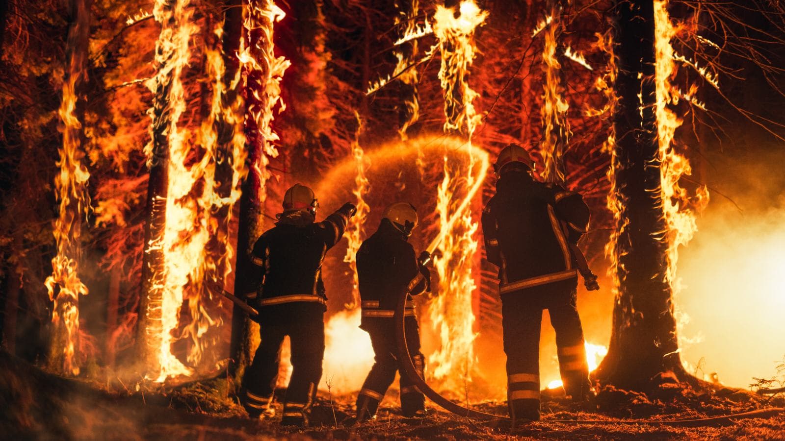 Grandes leçons à tirer des incendies du printemps-été 2026